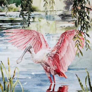 Roseate Spoonbill Watercolor Print: Louisiana Bird Art - Etsy