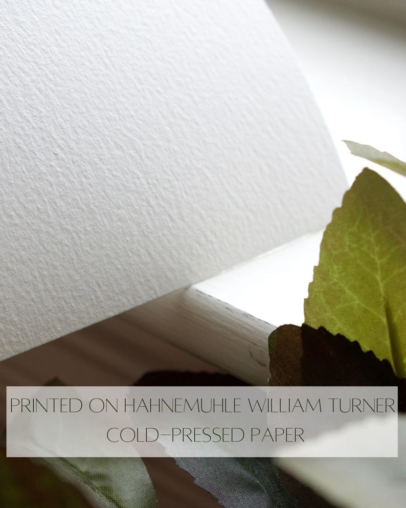 Pode incluir: Close-up de um papel branco texturizado com o texto "PRINTED ON HAHNEMUHLE WILLIAM TURNER COLD-PRESSED PAPER" impresso nele.