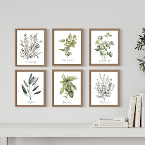 Herbs Set of 6 Watercolor Prints | Kitchen Wall Art | Botanical Sketches | Herbs Decor | Rosemary | Thyme | Parsley | Sage | Basil | Oregano
