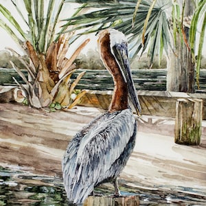 Pelican Watercolor Painting | Coastal Wildlife Art Print | Pelican Print |Coastal Nature |Pelican Artwork |Watercolor Brown Pelican Painting