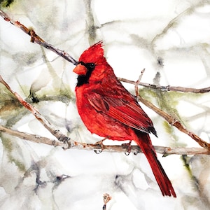 Cardinal Bird Watercolor | Red Cardinal Painting | Bird Art Print | Red Male Cardinal Wall Art | Winter Bird Painting | Christmas Art Decor
