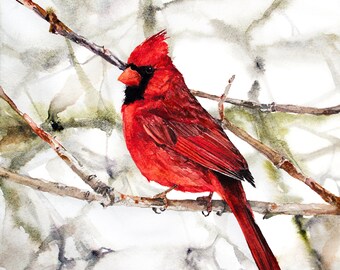 Cardinal Bird Watercolor Print: Winter Christmas Art Decor
