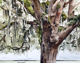 Louisiana Oak Tree Watercolor Print: Southern Home Decor