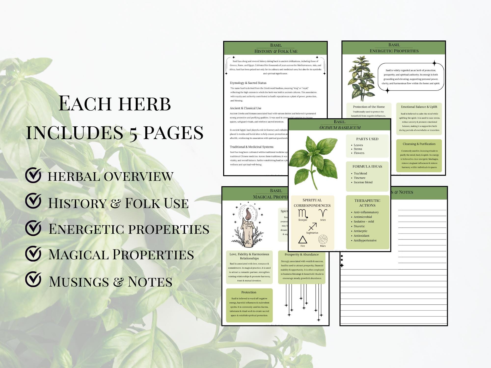 Basil Herbal Handbook Printable PDF Herbs Medicinal Energetic Magical ...