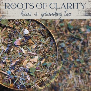 Roots of Clarity Focus Tea – Gaia inspirierter Loser-Blatt-Kräutertee – Gotu Kola, Grüner Tee, Rosmarin, Minze – Mentale Klarheit & geerdete Energie