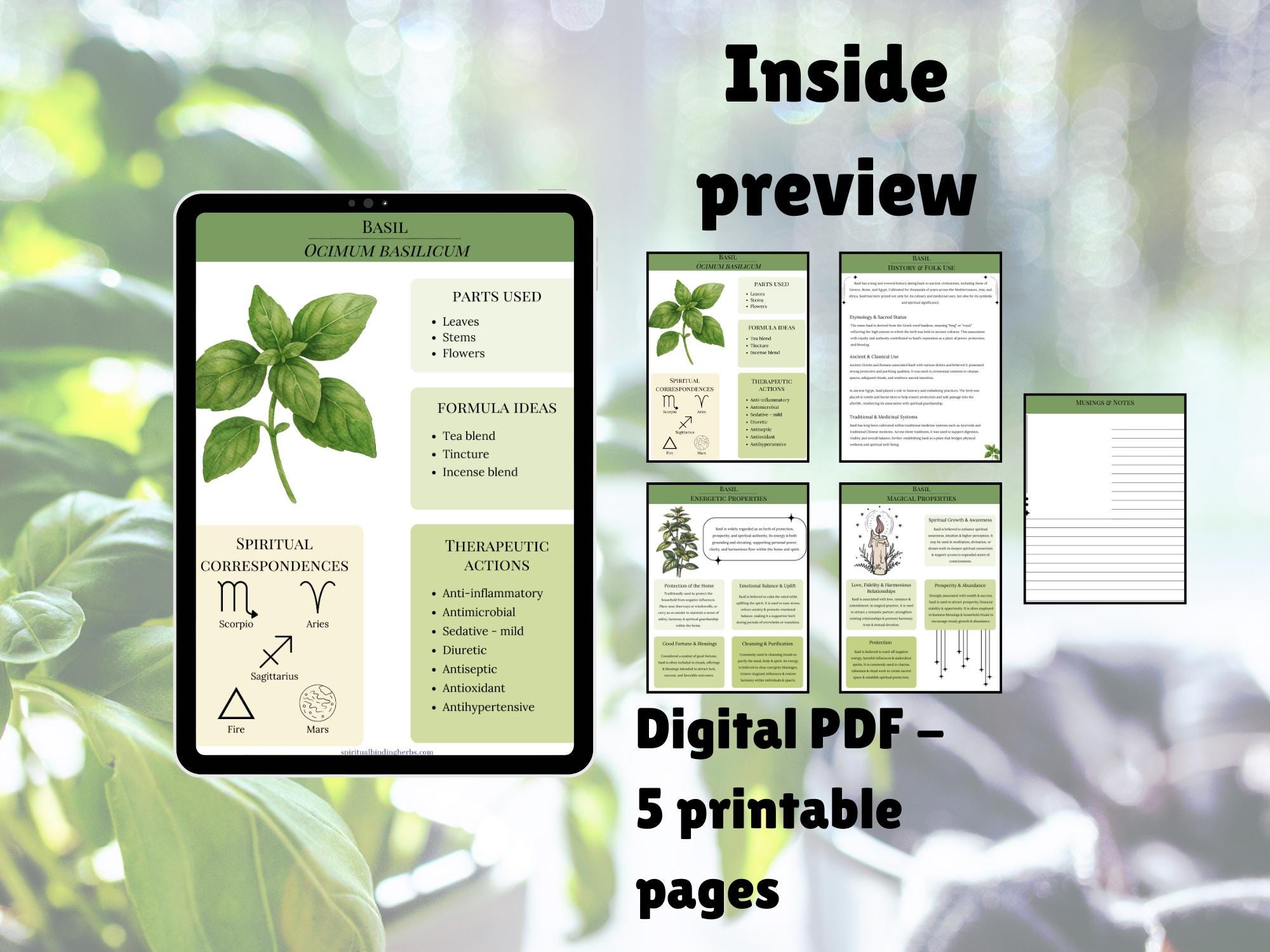 Basil Herbal Handbook Printable PDF Herbs Medicinal Energetic Magical ...