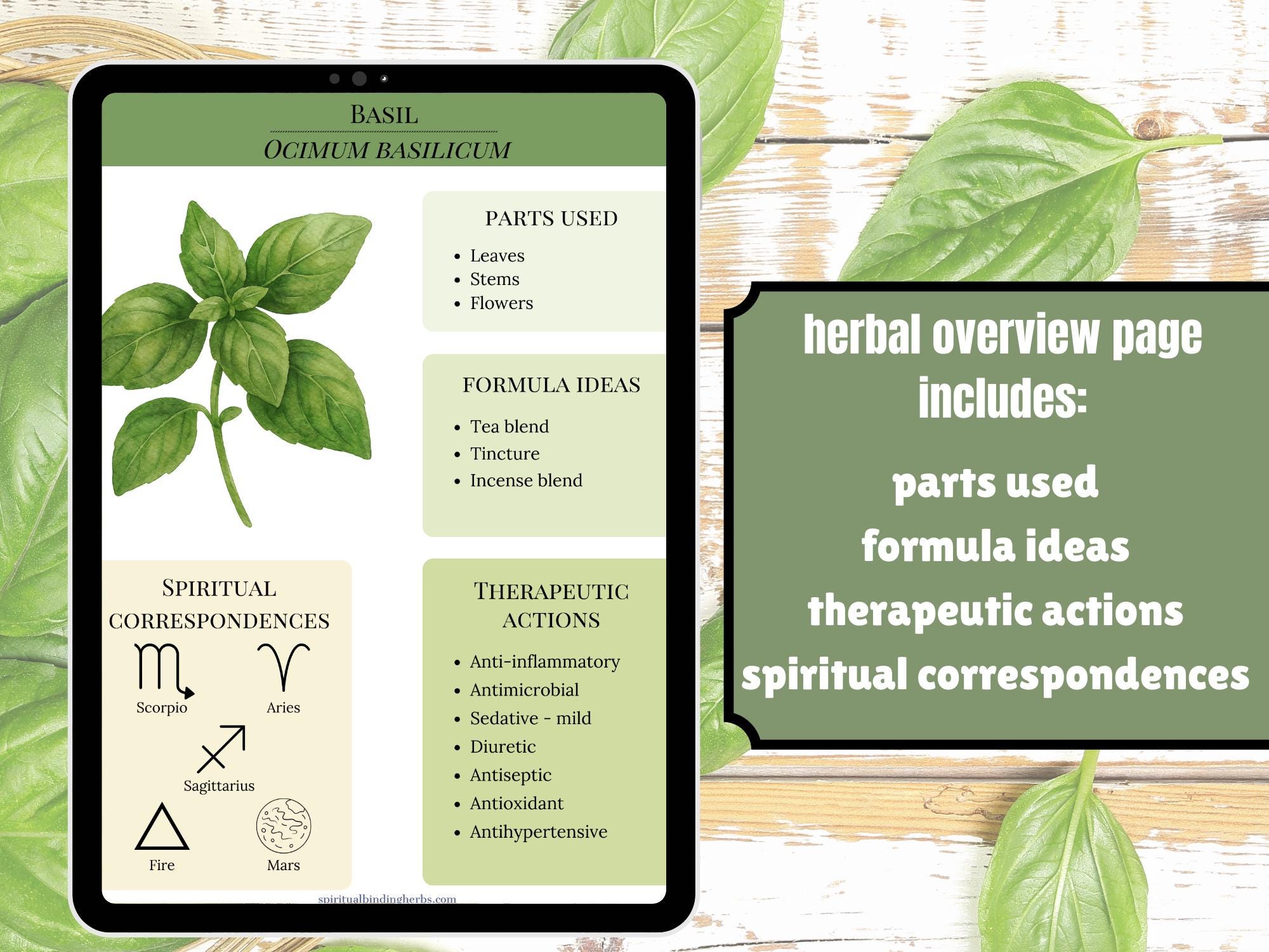 Basil Herbal Handbook Printable PDF Herbs Medicinal Energetic Magical ...