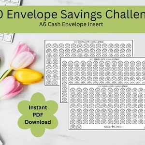 100 Envelope Challenge | Cash Envelope Insert | Budget Printable