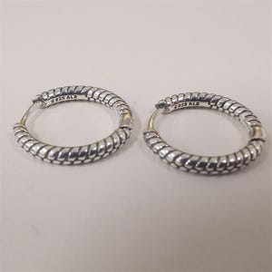 Pandora Silver Moments Small Charm Hoop Earrings S925 Ale