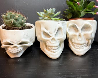 Set of 3 skull flowerpots