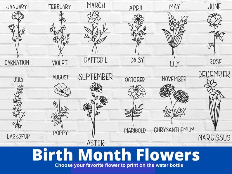 Pode incluir: Um gr&aacute;fico que mostra as flores de nascimento para cada m&ecirc;s do ano. As flores s&atilde;o ilustradas em preto e branco em desenhos de linha. O gr&aacute;fico inclui as seguintes flores: Cravo, Violeta, Narciso, Margarida, L&iacute;rio, Rosa, Delphinium, Papoula, Aster, Cal&ecirc;ndula, Cris&acirc;ntemo e Narciso.