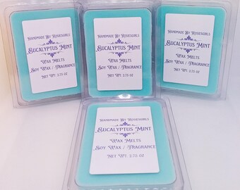 Eucalyptus Mint Scented Cubed Wax Melts - Soy Wax Melts - Home  Fragrance - Home Decor