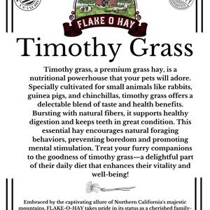 Op de afbeelding: Een illustratie van een rode schuur met een wit hek en een rood dak. De tekst "FLAKE O HAY" staat op een wit banner onder de schuur. De tekst "Timothy Grass" staat in grote zwarte letters onder het banner. De tekst "Timothy grass, a premium grass hay, is a nutritional powerhouse that your pets will adore. Specially cultivated for small animals like rabbits, guinea pigs, and chinchillas, timothy grass offers a delectable blend of taste and health benefits. Bursting with natural fibers, it supports healthy digestion and keeps teeth in great condition. This essential hay encourages natural foraging behaviours, preventing boredom and promoting mental stimulation. Treat your furry companions to the goodness of timothy grass-a delightful part of their daily diet that enhances their vitality and well-being!" staat in zwarte tekst onder de titel. De tekst "Embraced by the captivating allure of Northern California's majestic mountains, FLAKE-O-HAY takes pride in its status as a cherished family-owned and operated venture. With a resolute focus on delivering premium hay products, we cater to livestock enthusiasts far and wide." staat in zwarte tekst onder de vorige tekst.