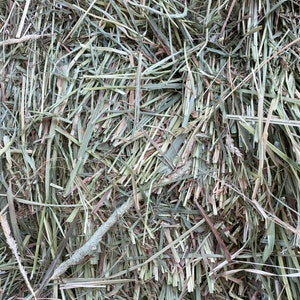 Op de afbeelding: Close-up van een stapel gedroogd, lichtgroen gras. Het gras is in kleine stukjes gehakt en heeft een lichtbruine tint.
