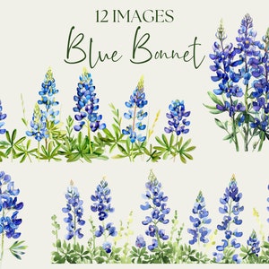 Clipart Bluebonnet. Texas Bluebonnets State Flower Watercolor Graphics ...