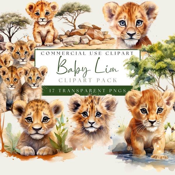 Baby Lion Watercolor Clipart. Commercial Use. Transparent PNGs. Jungle Safari Zoo Animal. African Lion Cub Images. Cute Nursery Clip Art.