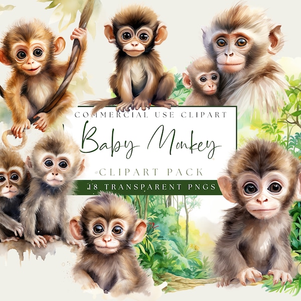 Baby Monkey Watercolor Clipart. Commercial Use. Transparent PNGs. African Safari Zoo Animal. Monkey Babies Images. Cute Nursery Clip Art