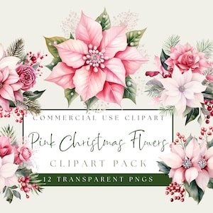 Clipart Pointsetta Navidad Rosa. Paquete PNG de acuarela pastel. Flores navideñas de color rosa caramelo. Uso comercial. Descarga instantánea. Decoración festiva.