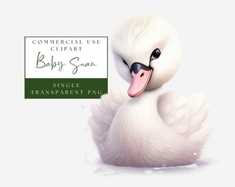 Baby Swan Clipart. Akwarela PNG Pojedynczy obraz. Sztuka ścienna do pokoju dziecięcego. Grafika leśnych zwierząt. Użytek komercyjny. Natychmiastowe pobieranie. Clip Art dla dzieci
