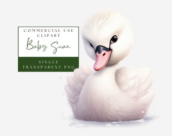 Baby Swan Clipart. Watercolor PNG Single Image. Nursery Wall Art. Woodland Animal Graphic. Commercial Use. Instant Download. Kids Clip Art