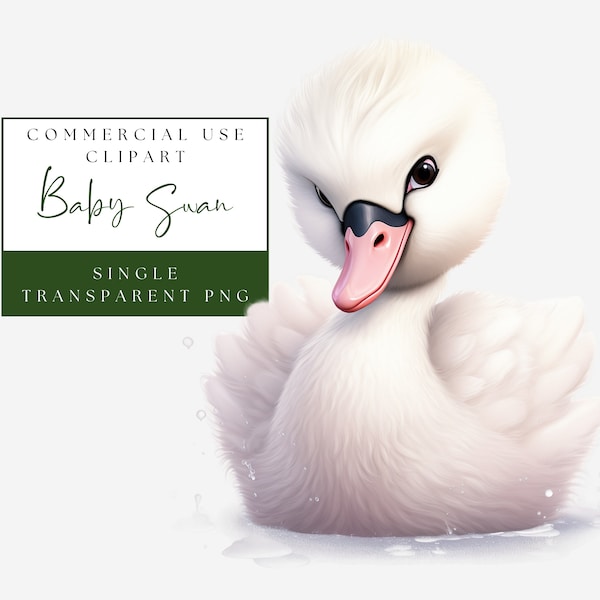 Baby Swan Clipart. Watercolor PNG Single Image. Nursery Wall Art. Woodland Animal Graphic. Commercial Use. Instant Download. Kids Clip Art