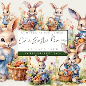 Easter Bunny Clipart Transparent. Cute Rabbit With Eater Basket PNGs. Spring Floral Graphics. Instant Digital Download. Commercial Use.