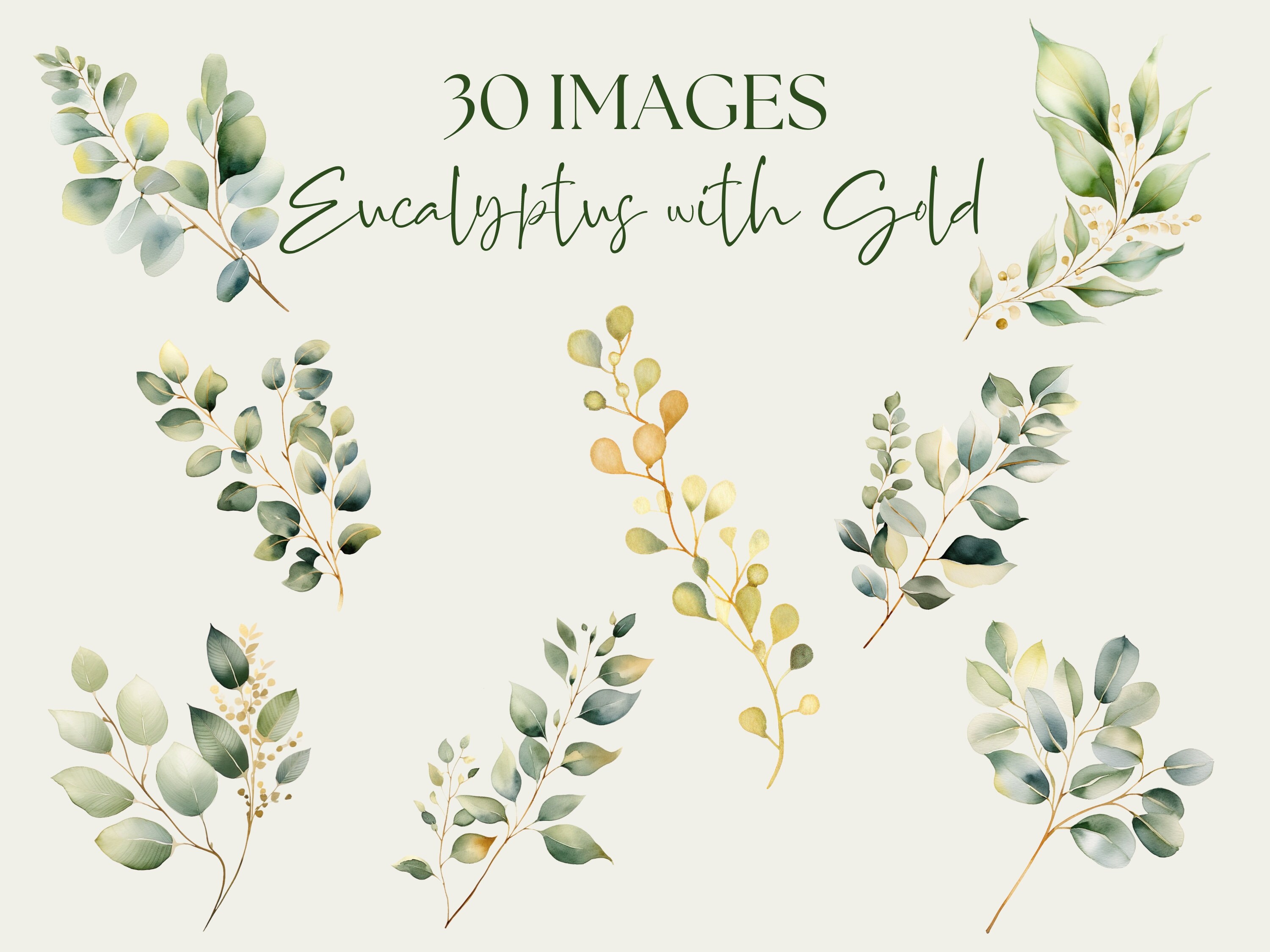 Eucalyptus Clipart. Watercolor Greenery Clip Art. Gold Foliage Images ...