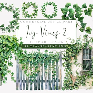 Ivy Vines Clipart. Climbing Ivy Vines And Wreaths. Commercial Use. Greenery Watercolor Images. Foliage Graphic. Instant Digital Download.