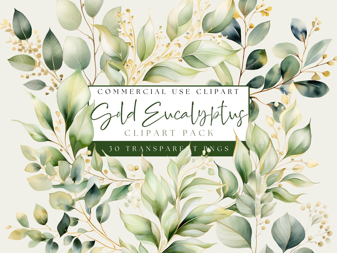 Eucalyptus Clipart. Watercolor Greenery Clip Art. Gold Foliage Images ...