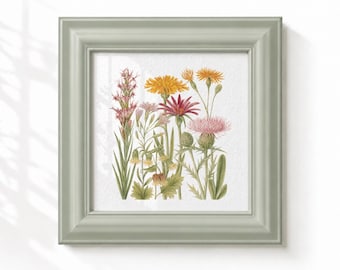Antique Botanical Art Print. 4" x 4" Small Floral Illustration