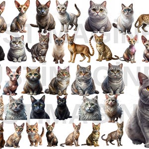 Cat Breeds PNG Bundle, Watercolor Handpainted Kitties Clipart PNG,Cats Clipart,Animals Clipart, Watercolor Animals, Digital Download