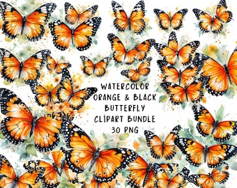 30 mariposa monarca naranja oruga monarca hábitat de la mariposa monarca algodoncillo tropical ciclo de vida de la mariposa monarca oruga png