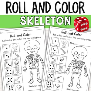 以下が含まれることがあります： 「Roll and Color Skeleton」というタイトルの教育用ワークシート。骸骨の輪郭とサイコロが描かれています。ワークシートは、サイコロを振って対応する体の部分を色塗りするように指示しています。赤いサイコロも存在します。