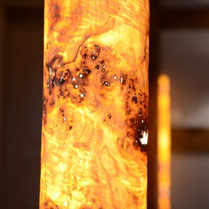 May include: A cylindrical floor lamp featuring a translucent, glowing amber-colored wood veneer with a prominent burl grain pattern. The light shines through the natural wood texture, highlighting dark, swirling knots and golden organic patterns.