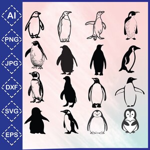 Penguin Svg Bundle \ Penguin Cut File \ Cute Penguin Svg \ Penguin Svg \ Funny Penguins \ Digital Download \ Svg Files for Cricut