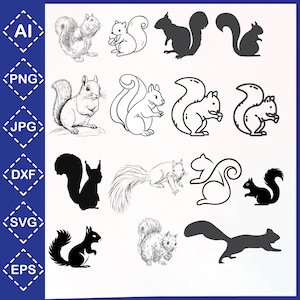 Squirrel SVG Bundle \ Squirrel SVG \ Squirrel Cut File \ Squirrel Clipart \ Squirrel Silhouette \ Instant Download \ Svg Files for Cricut