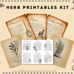 Herb Printables Kit - Ilustrações, Páginas e Cartões para Imprimir | 30 Ervas | Grimórios, Livros de Feitiços ou Livros de Recortes de Receitas