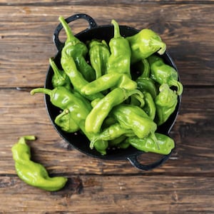 Pepper Pepperoncini Sweet x 15 Seeds