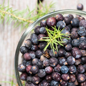 Juniper Berries | Bulk Dried Whole Juniper (Juniperus communis) | Culinary, Craft & Botanical Use | Loose Herbal Berry