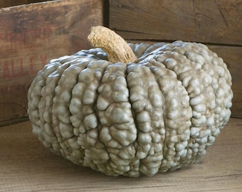 May include: A blue, bumpy, gourd-shaped pumpkin with a light brown stem. The pumpkin is sitting on a wooden surface.