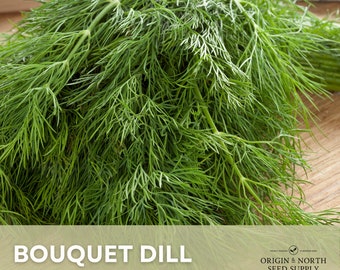 Dill Bouquet x 100 Seeds