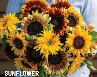 ✿sunflower✿ Fitzula's Gift Shop: Ganz Sunshine Plush Sunflower