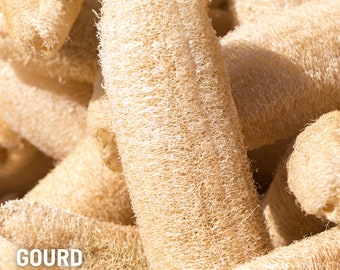 May include: A close-up of a pile of dried, light brown loofah gourds. The gourds are arranged in a random pattern, with some of them overlapping. The gourds are all natural and have a rough, textured surface.