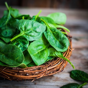 Spinach Countryside x 100 Seeds