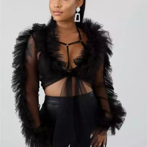 Mesh Ruffled Long Sleeve Top