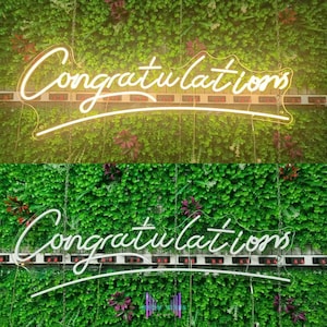 Congratulations Neon Sign - Happy Birthday Neon Sign - Party Neon Sign - Celebration Neon Sign