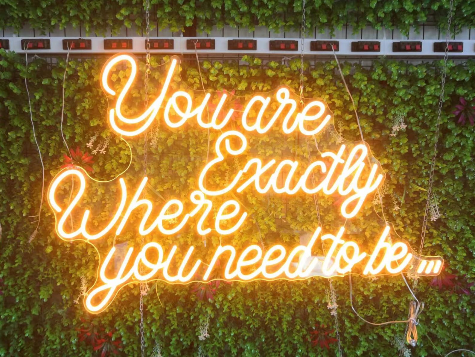 You Are Exactly Where You Need To Be Inspirational Neon Sign you-are-exactly-where-you-need-to-be-inspirational-neon-sign