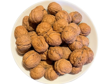 Walnuts in Shell, 15 pcs pack