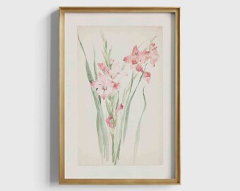 Vintage Amaryllis Flower Print: Antique Botanical Art (Digital Download)