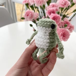 May include: A small, crocheted frog in shades of green and white, with black eyes. The frog is held in a hand, with a blurred background of pink flowers in a vase. The frog has small arms and legs.